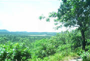 WiRestArea.jpg