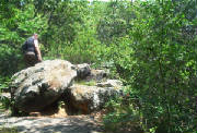 im002105.jpg
